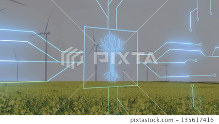 Hovering neon blue overlay with tree circuit icon over flowering yellow field and wind turbines Hovering neon blue overlay with tree circuit icon over flowering yellow field and wind turbines 135617416