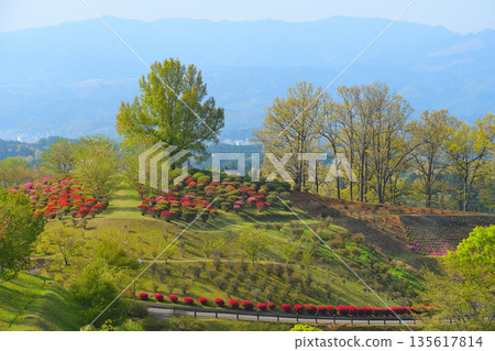 Maruoka Park in Yamae Village 135617814