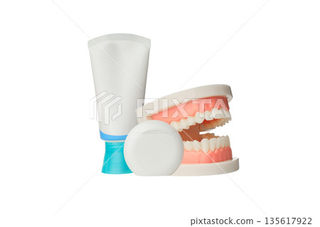 Teeth models with dental paste and container, isolated, PNG Teeth models with dental paste and container, isolated, PNG 135617922