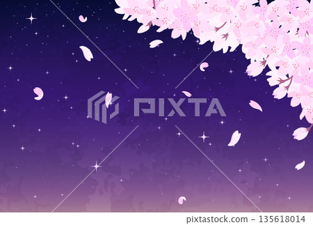 夜空中的櫻花和星空插圖_橫向 2 135618014