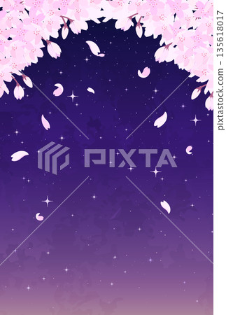 Illustration of cherry blossoms and starry sky at night_Vertical 1 Illustration of cherry blossoms and starry sky at night_Vertical 1 135618017