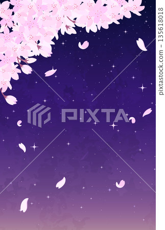夜空中的櫻花和星空插圖_豎版 2 夜空中的櫻花和星空插圖_豎版 2 135618018