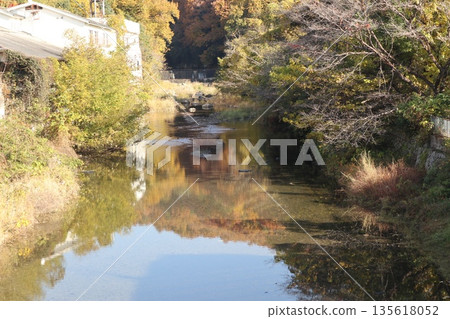 Walking through the Settsu Gorge in Takatsuki, Osaka, amidst the autumn foliage 135618052