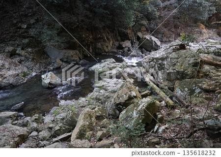 Walking through the Settsu Gorge in Takatsuki, Osaka, amidst the autumn foliage Walking through the Settsu Gorge in Takatsuki, Osaka, amidst the autumn foliage 135618232