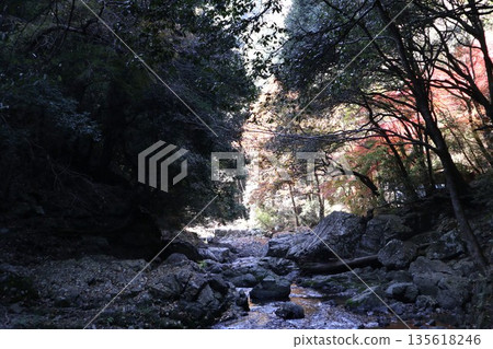 漫步於大阪府高槻市的攝津峽，欣賞秋色 135618246