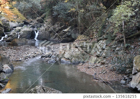 Walking through the Settsu Gorge in Takatsuki, Osaka, amidst the autumn foliage 135618255