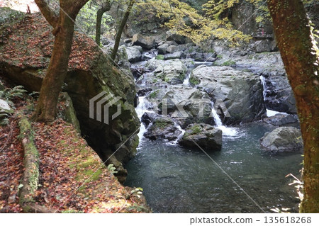 Walking through the Settsu Gorge in Takatsuki, Osaka, amidst the autumn foliage 135618268