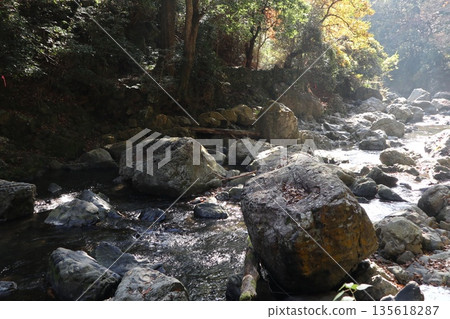 Walking through the Settsu Gorge in Takatsuki, Osaka, amidst the autumn foliage Walking through the Settsu Gorge in Takatsuki, Osaka, amidst the autumn foliage 135618287