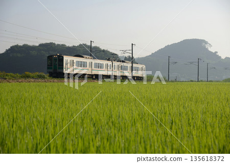 701 series train running on the Tohoku Main Line early in the morning 135618372