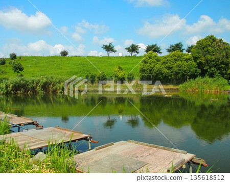 An empty fishing pond on a hot summer day An empty fishing pond on a hot summer day 135618512