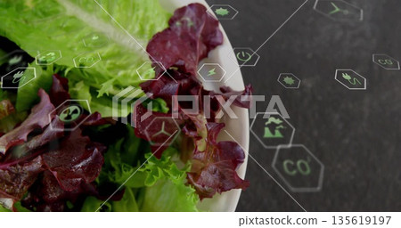 Showcasing white bowl of red and green lettuce in kitchen, with floating eco icons, copy space 135619197