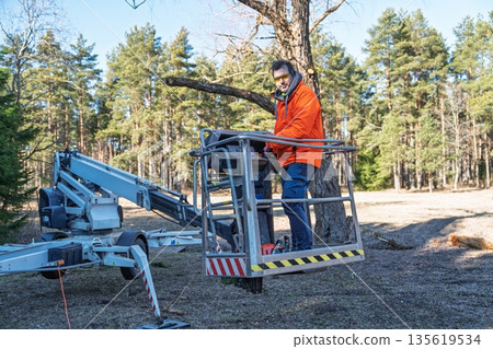 Arborist in a Lift Trimming Tree Branches in Forest, Expert Tree Care Service 135619534