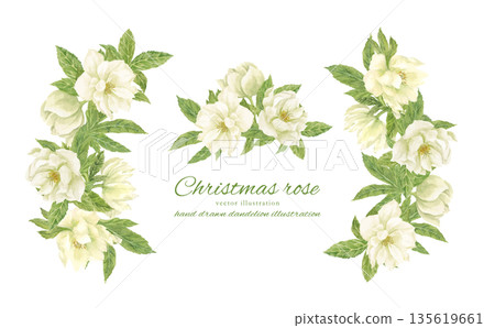 水彩白聖誕玫瑰畫框 135619661