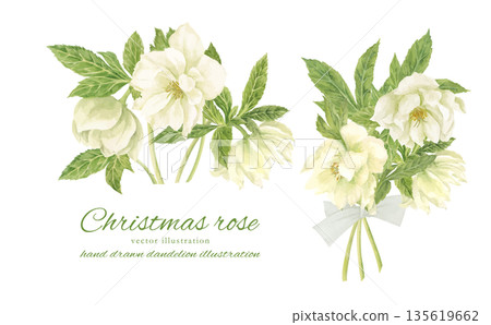 水彩風格的白色聖誕玫瑰花束 水彩風格的白色聖誕玫瑰花束 135619662