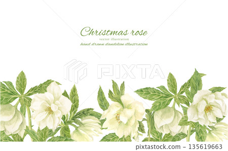 水彩白聖誕玫瑰畫框 135619663