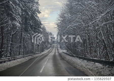 Road through a snow-covered forest on a cold winter day Road through a snow-covered forest on a cold winter day 135620507