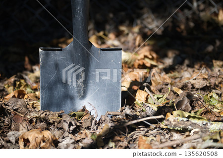 Shovel Half-Buried in Dry Autumn Leaves in an Outdoor Garden Scene Shovel Half-Buried in Dry Autumn Leaves in an Outdoor Garden Scene 135620508