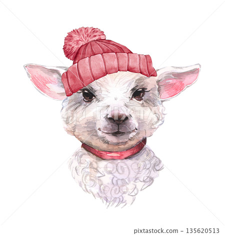 Hand drawn illustration of a cute white sheep or goat head wearing a red knitted hat and collar isolated on white background. Sweet animal character for nursery decor, seasonal greeting cards, and Hand drawn illustration of a cute white sheep or goat head wearing a red knitted hat and collar isolated on white background. Sweet animal character for nursery decor, seasonal greeting cards, and 135620513