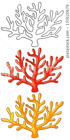 Marine Coral Branch Vector Set with Outline and Colored Variations Marine Coral Branch Vector Set with Outline and Colored Variations 135620679