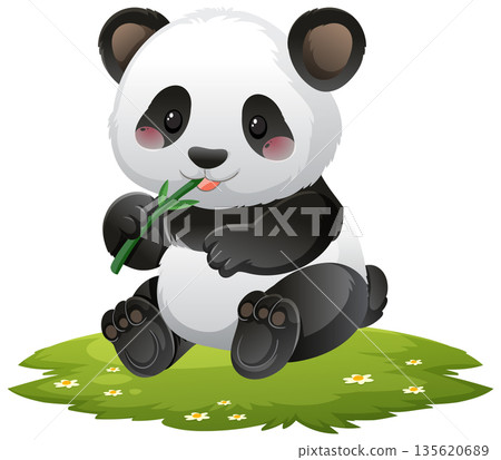Cute Baby Panda Eating Bamboo on Grass Patch Cute Baby Panda Eating Bamboo on Grass Patch 135620689