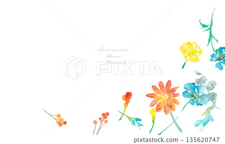 水彩畫。向量植物插圖，帶有水彩筆觸。色彩繽紛的花卉水彩背景。春季植物。 135620747