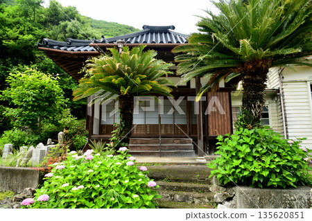 月照寺【和歌山縣日高川町】 月照寺【和歌山縣日高川町】 135620851