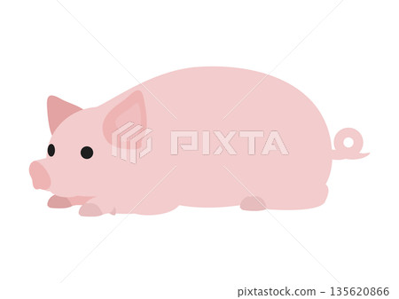 Cute vector illustration of a pig resting on its back Cute vector illustration of a pig resting on its back 135620866