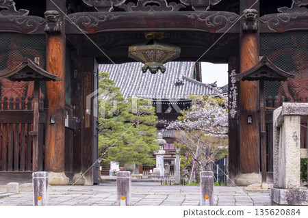春天的京都、青棱寺(佐賀釋迦堂)、櫻花和仁王門 春天的京都、青棱寺(佐賀釋迦堂)、櫻花和仁王門 135620884