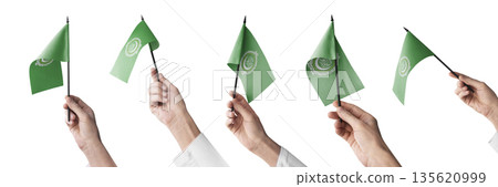 The Arab League flag in hand in different angles on a white background The Arab League flag in hand in different angles on a white background 135620999