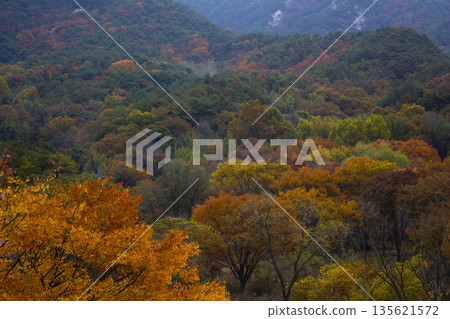 This is a Korean autumn mountain landscape. This is a Korean autumn mountain landscape. 135621572