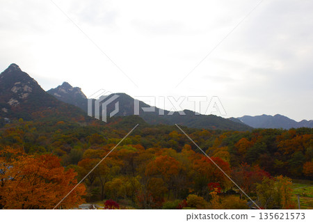 This is a Korean autumn mountain landscape. This is a Korean autumn mountain landscape. 135621573