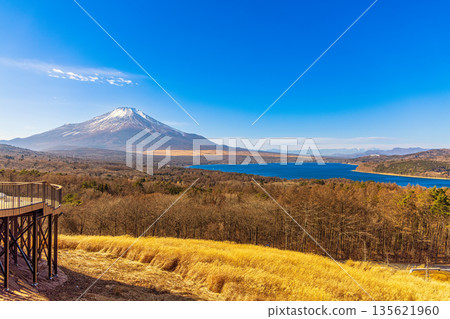 富士山全景展望台(12月,晴朗天氣) 富士山全景展望台(12月,晴朗天氣) 135621960