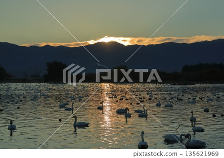 The sun rises over Lake Hyoko in Agano, where swans swim. The sun rises over Lake Hyoko in Agano, where swans swim. 135621969