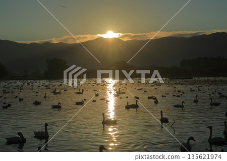 清晨的陽光灑在阿賀野縣兵庫湖上,景色美不勝收。 清晨的陽光灑在阿賀野縣兵庫湖上,景色美不勝收。 135621974