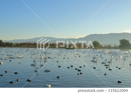 清晨,阿賀野縣兵庫湖的景色,湖水不時濺起水花。 清晨,阿賀野縣兵庫湖的景色,湖水不時濺起水花。 135622004