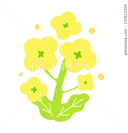 手繪可愛油菜花插圖 135622304