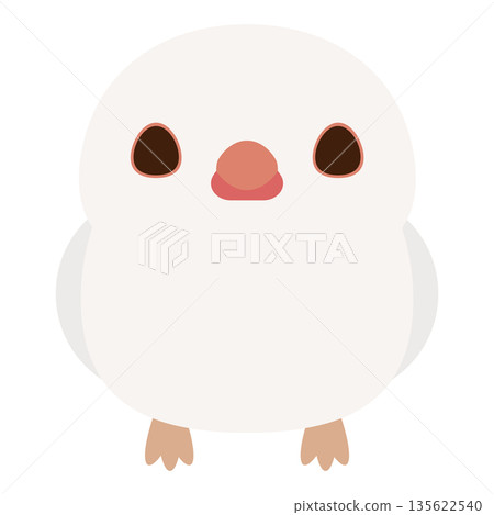 白石鳥 135622540