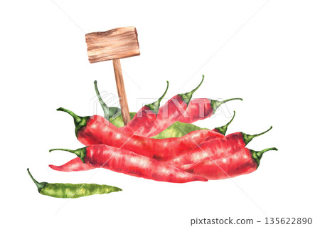Watercolor hot chili pepper with wooden rustic price tag sign. Green and red whole vegetables pile. Hand drawn illustrations for vegetable market, spicy seasoning label design Isolated from background Watercolor hot chili pepper with wooden rustic price tag sign. Green and red whole vegetables pile. Hand drawn illustrations for vegetable market, spicy seasoning label design Isolated from background 135622890