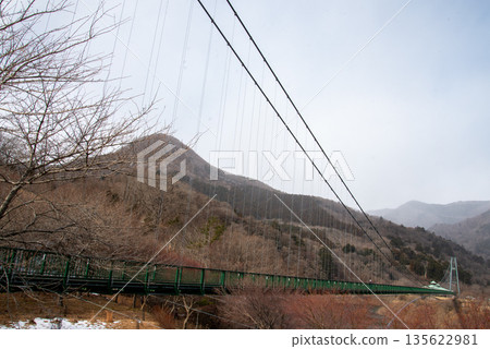 Momijidani Suspension Bridge 135622981