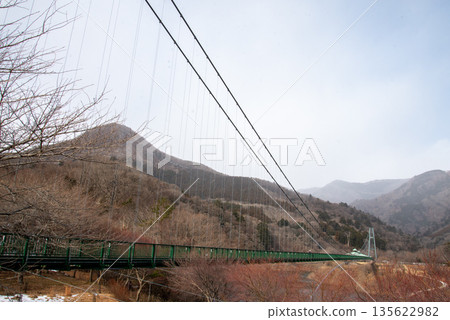 紅葉谷吊橋 紅葉谷吊橋 135622982