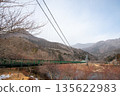 Momijidani Suspension Bridge 135622983