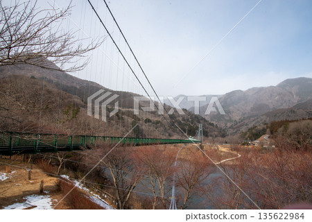 Momijidani Suspension Bridge 135622984
