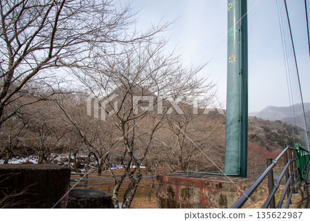 紅葉谷吊橋 135622987