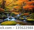 一條長滿青苔的小溪，一片被秋葉環繞的夢幻秋林。 135622988