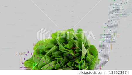 Presenting vibrant butterhead lettuce resting on white set in studio, with financial chart overlay 135623374
