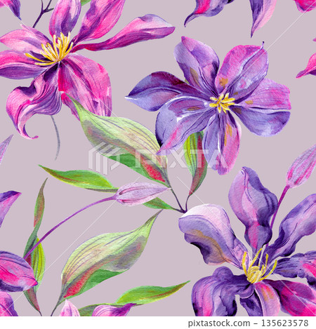 Clematis flowers and buds, leaves multicolored, graceful. Seamless pattern on a lilac pastel  135623578