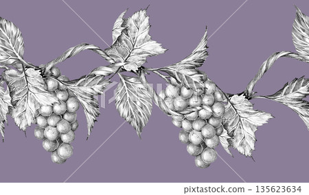 Grapevine branch with leaves and berries. Seamless border, Hand drawn with pencil on lilac background 135623634