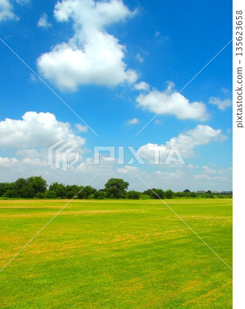 盛夏酷暑,江戶川河畔的足球場一覽無遺。 盛夏酷暑,江戶川河畔的足球場一覽無遺。 135623658