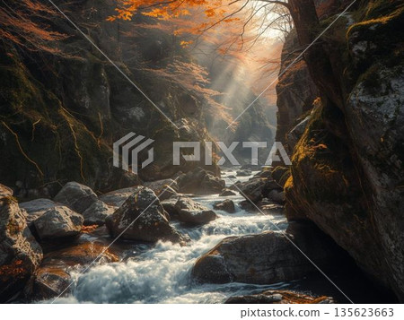 秋葉映襯下，寧靜的山澗溪流和長滿青苔的森林構成了一幅美麗的畫卷。 135623663