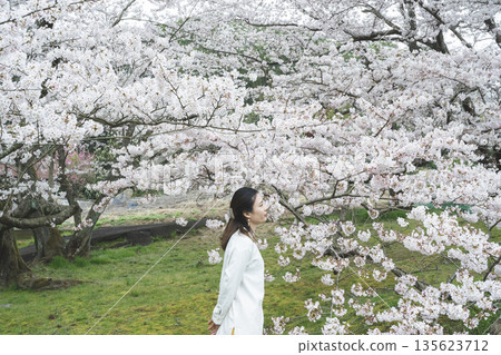 櫻花和一個年輕女子 135623712